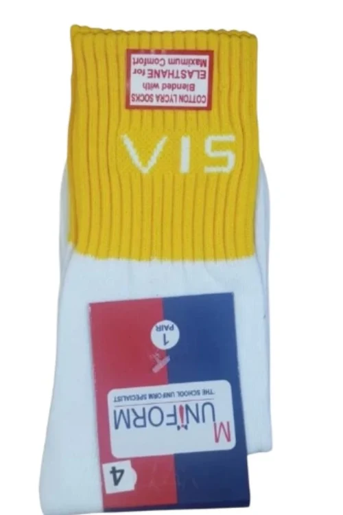 VIS Sr. House Socks.jpg