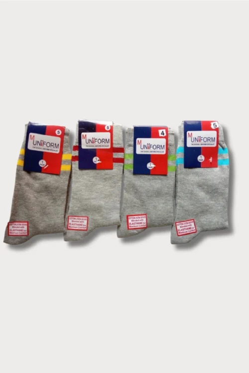 SGPS. House Socks
