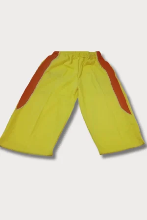 VIS House Shorts
