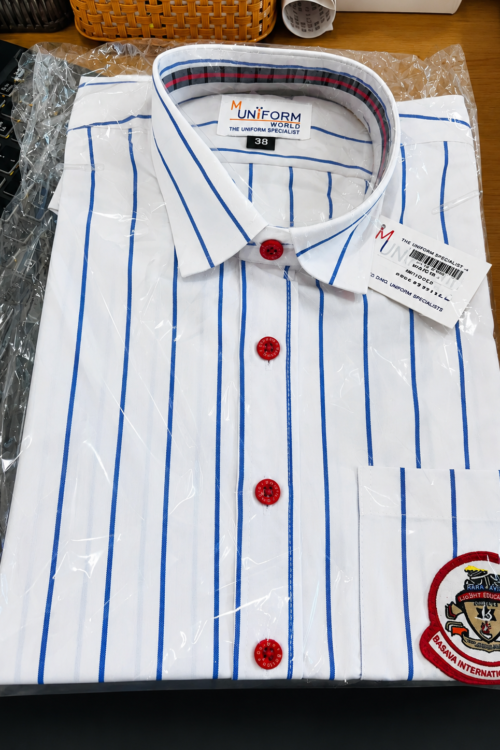 Basava School Stripe Shirt Half Sleeves