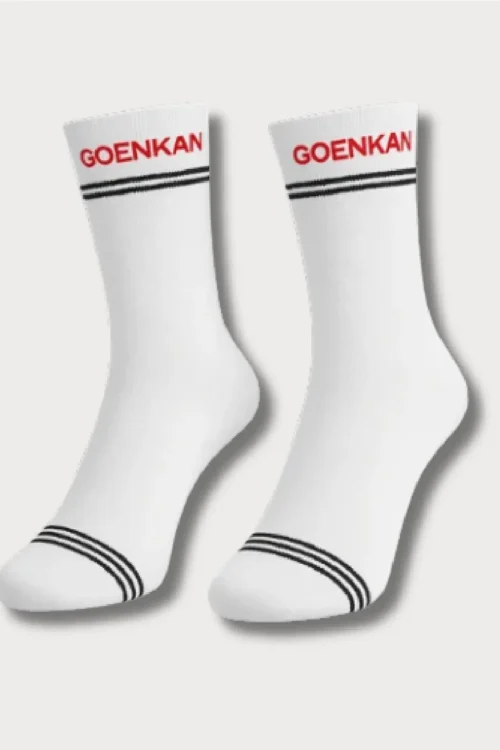 GD Goenka SOCKS – NUR – XII