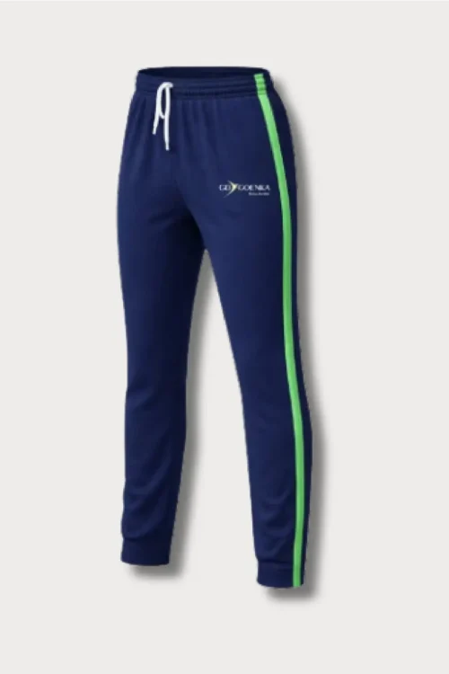GD Goenka T/PANT SPT -NUR – XII