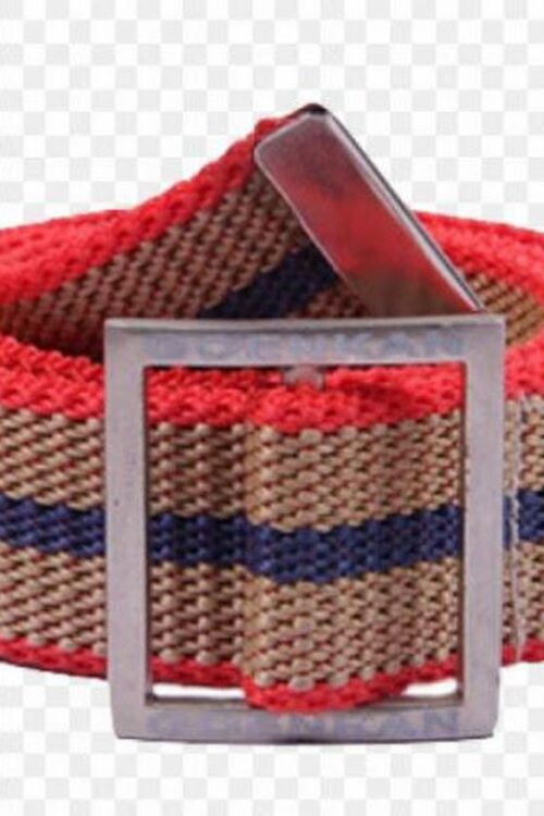 GD Goenka Belt
