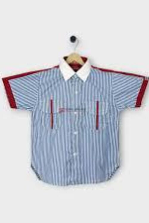GD Goenka Shirt
